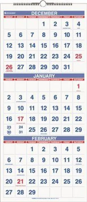 At-A-Glance Three-Months-Per-Page 14-Month Wall Calendar Vertical Format 12 X 27