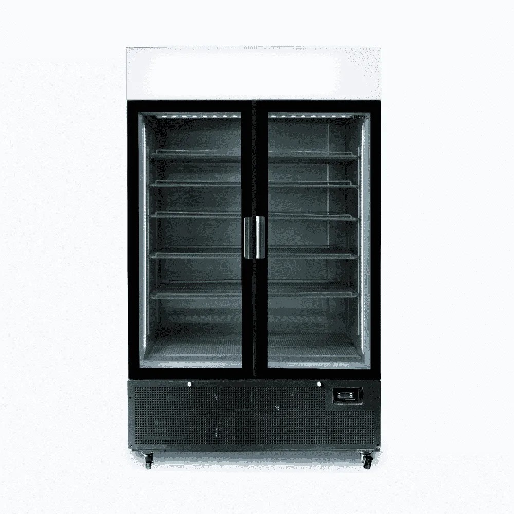 Bromic GM1100LB-NR Two Flat Glass Door Upright Display Fridge - 1082L