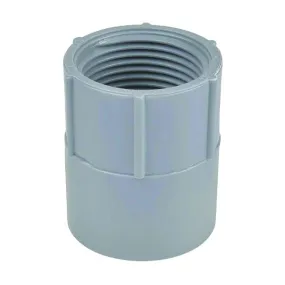 Carlon E942GR-CTN Conduit Adapter, 1-1/4 in FPT x Socket, 1-63/64 in Dia, 2 in L, PVC