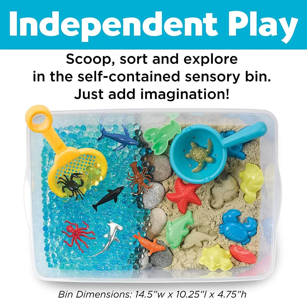 Creativity for Kids 6281 Sensory Bin Ocean & Sand