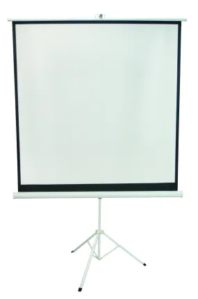 Projection Screen 70? x 70?