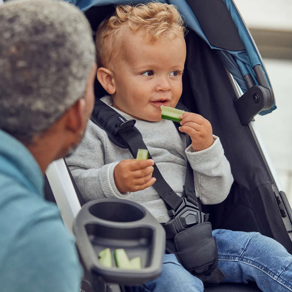 Thule Spring Snack Tray