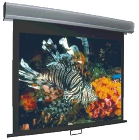 Vutec Econo Pro Manual Wall Front Projection Screen 75-Inch 4:3 Format